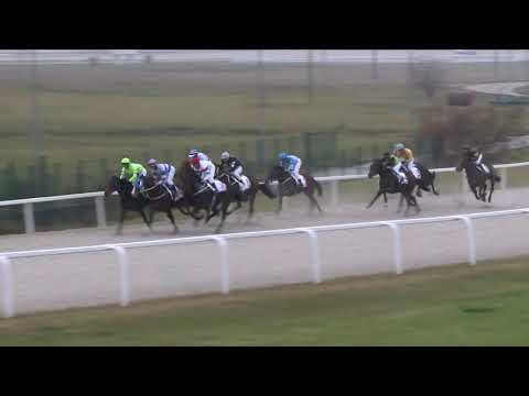 2018.11.25. 02. futam - NYERETLEN KÉTÉVESEK VERSENYE (IV.kat.) I. rész (szintetikus pálya)