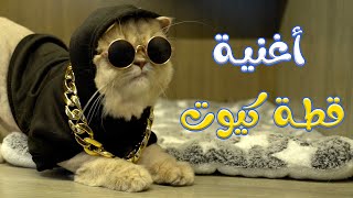 القطة قطة كيوت قناة وناسة بيبي