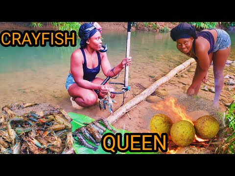 CRAWFISH MADNESS ; this WATER has so many MONSTER CRAYFISH. ( CATCH & COOK ) in JAMAICA