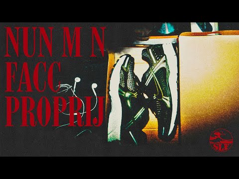 Miniatura de NUN MN FCC PROPRIJ