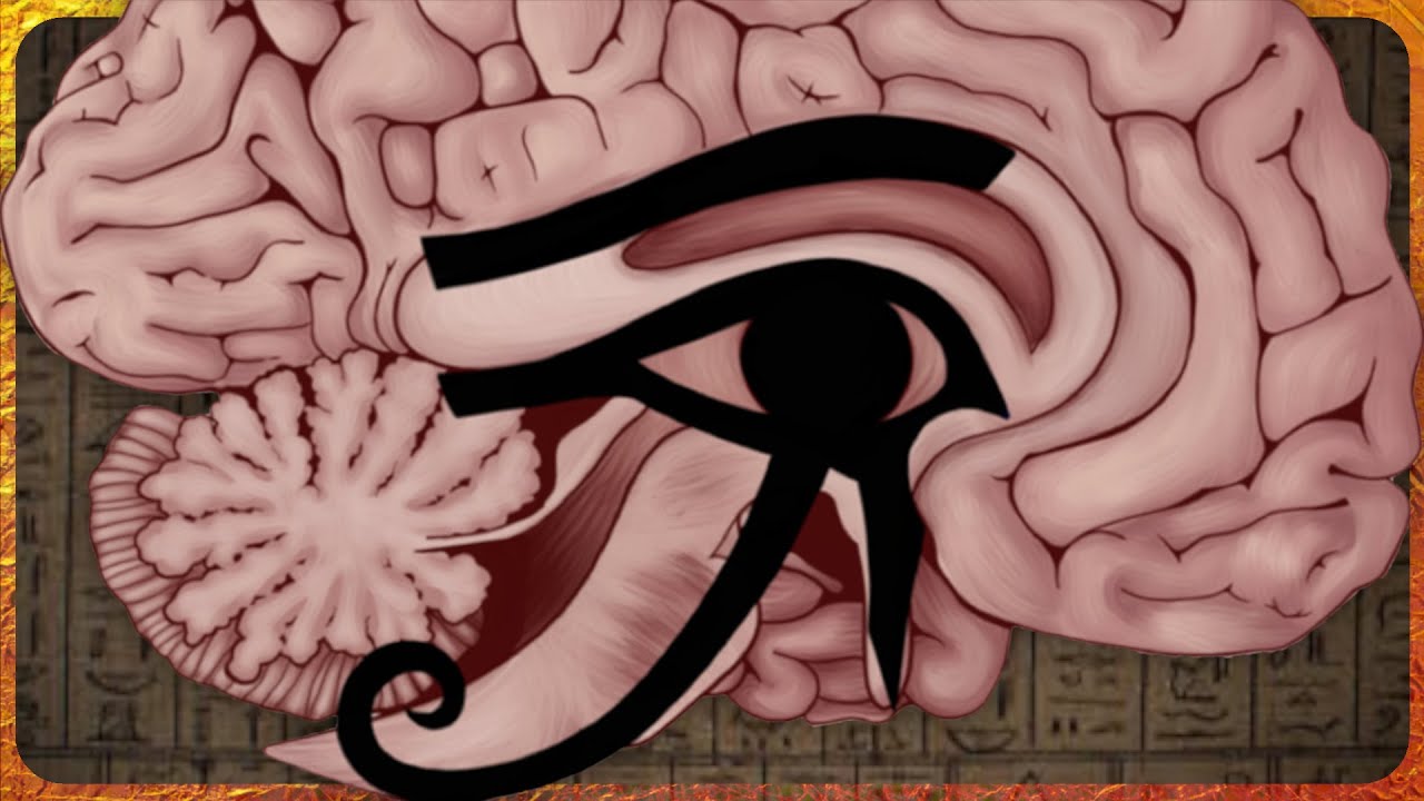 Olho de Hórus: História e Significado