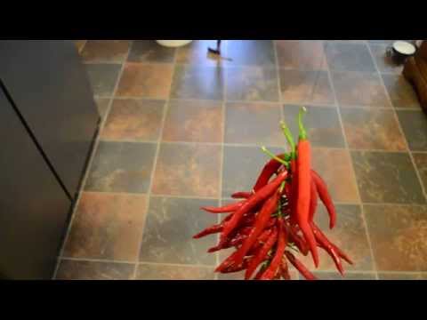 download lagu mp3 mp4 How Long Do Ristras Last, download lagu How Long Do Ristras Last gratis, unduh video klip How Long Do Ristras Last