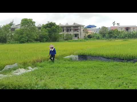 Khép Lại Chuyện Tình - Võ Minh Lê