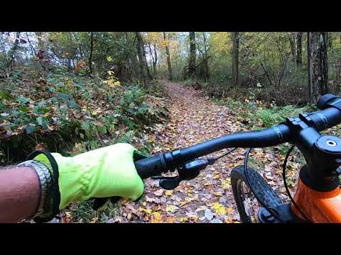 Butler PA - Alameda Park - Pool Boy trail in fall leaves - Oct 21 2020