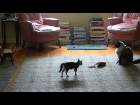 The WInklers Meet Charlene