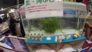 Healthy Japanese Food: Live forever with Okinawa Sea Grapes!