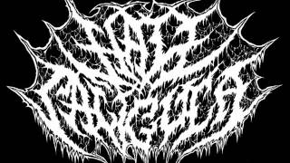 Hail caligula - Marked By Cruelty