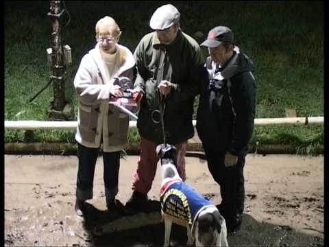 Miss Primark Winner Of The "Ken Ross Memorial" 650yds Westhoughton 27/11/2009