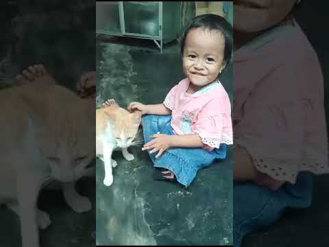 kucing nya pasrah aja lagi di mainin aruni
