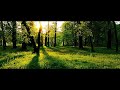 Love Spirals Downwards - Sunset Bell