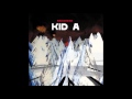 Radiohead - Optimistic (instrumental cover) 