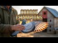 How to Choose the Best Racing Pigeons – Bloodlines, Eyes, Wings & What Champions Look For”