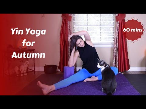 Yin Yoga for Autumn | Transition {60 mins}