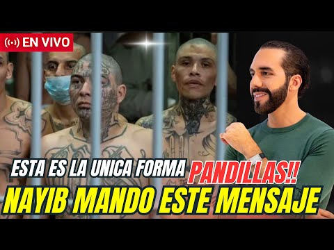Bukele contundente: “La única forma es encarcelarlos” y la oposición queda expuesta