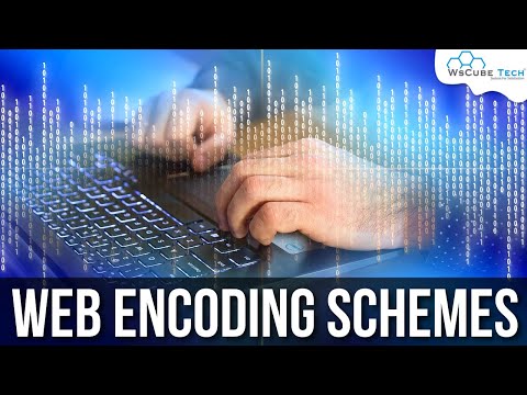 Basics of Web Applications What is HTTP and their Protocols Explained