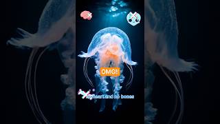 This Jellyfish Can Live Forever?! 😱 Ocean Secrets Revealed #jellyfish #wildlife #animalfacts