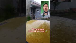 Download lagu Udan isuk maleh gak iso lanjut 😔 #mencarirejeki #sariroti #viral mp3