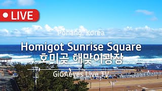 Homigot Sunrise Square