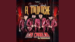 Rumbos Mejores (Tololoche)