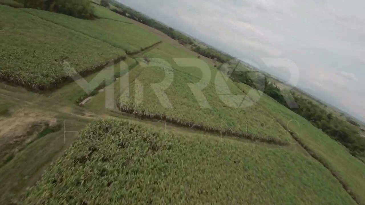 Cultivo de Caña FPV P5