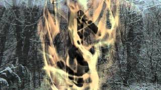 Vastum Silentium &quot;In A Captivity Of Icy Beauty&quot; (promo of album &quot;With Wrath In Our Hearts&quot; 2011)