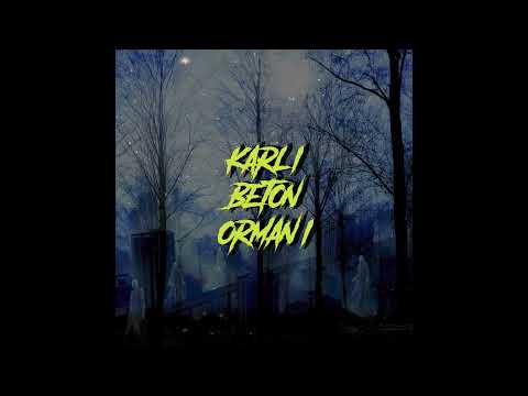 Barni Barnas - Karlı Beton Ormanı feat. Müfred (Official Audio)