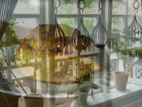 Svein Skurk Nilsen -  Kjære venn - Ålesund