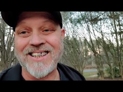 2020 end of year update