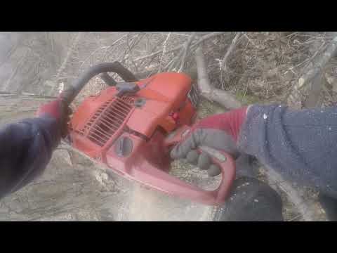 Whackin and Stackin with Coop!!!!