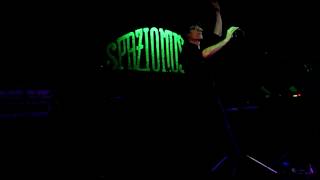 Madame Sadowsky - Gathering Dust (Modern English cover)