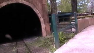 preview picture of video 'Zoo Train Combe Martin'