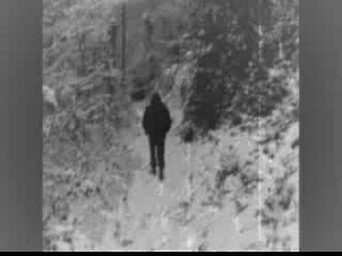 Nocturnal Depression - Fjaer