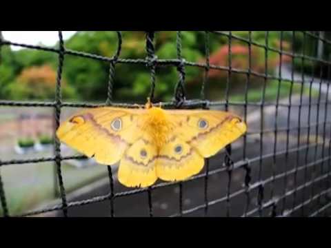 ニコン１　AFテスト