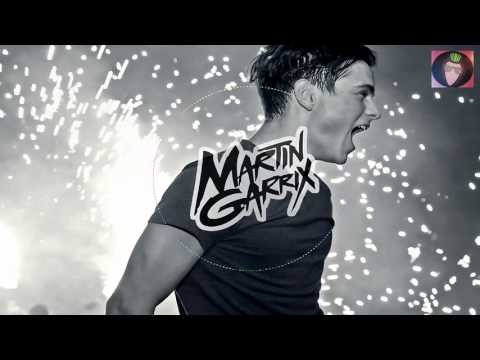 Martin Garrix vs Fedde le Grand & NickyRomero ft. Matthew Koma - Poison Sparks(Martin Garrix Mashup)