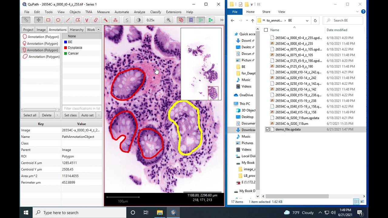 Making and saving multiple annotations in QuPath