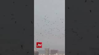 Tel Aviv Sky Filled With Birds | Stunning Footage! | Iran Massive Attack Update | BOL News
