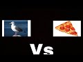 Seagulls Vs Pizza