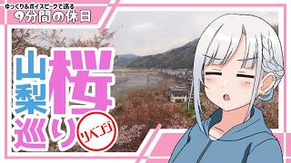 【ゆっくり＆ボイピ車載】山梨桜巡りリベンジ2026 後編＜9分間の休日＞