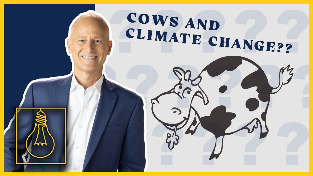 Reducing Methane Emissions from Cows? Here's How