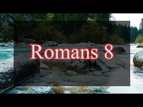 Romans 8 Nlt