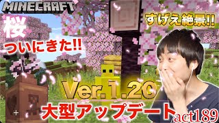 【マインクラフト】【Ver.1.20絶景】満開の桜ついにきた!! お散歩して考古学も!!そしてオリジナル模様の壺を作るぞ!!【セイハのセハクラ実況act189】