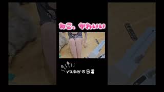 ねこのいる生活 #ねこ #vtuber #vlog #配信