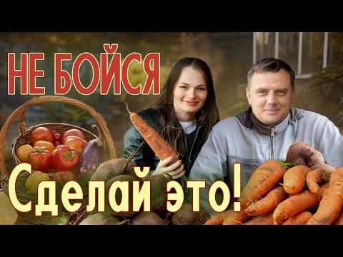 SEPTEMBER in the garden: 7 most common MISTAKES that ruin next year’s harvest!