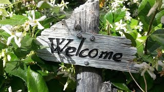 Home Garden Tour|Smart Life|Nature#garden#tour#smartlife