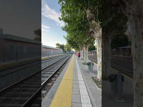 Tren diésel villa Ballester a zarate por Escobar a Ballester a cargo de la 🚂GM G22 A701