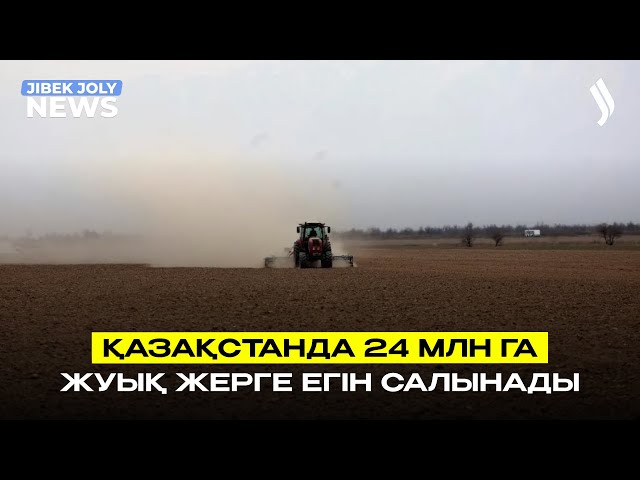 Қазақстанда 24 млн га жуық жерге егін салынады