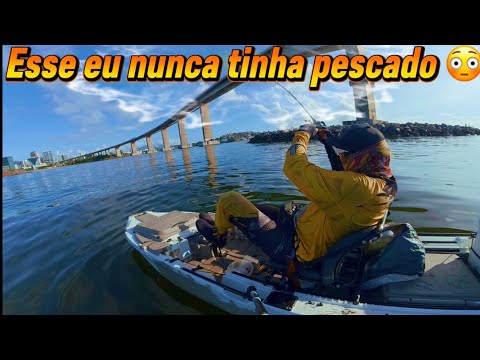 Fishing at the Third Bridge and Santa Luzia Lighthouse: Kayak and Artificial Bait