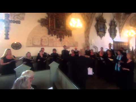 Sommerpsalm, Valdemar Åhlén - performed by Coro Misto