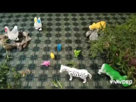 Animals... stop Motion...