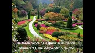 Nicanor - Chico Buarque (Com Legendas)